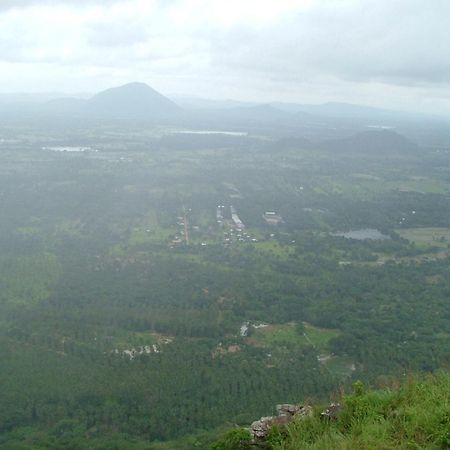 Raintree Villa Dambulla Exteriör bild