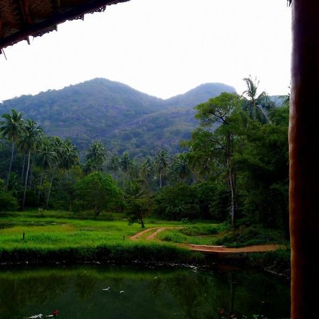Raintree Villa Dambulla Exteriör bild