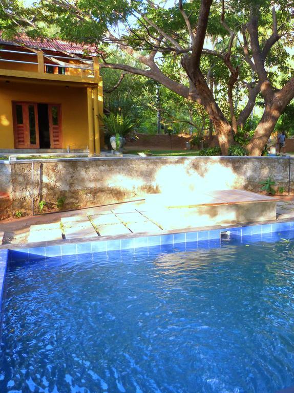 Raintree Villa Dambulla Exteriör bild