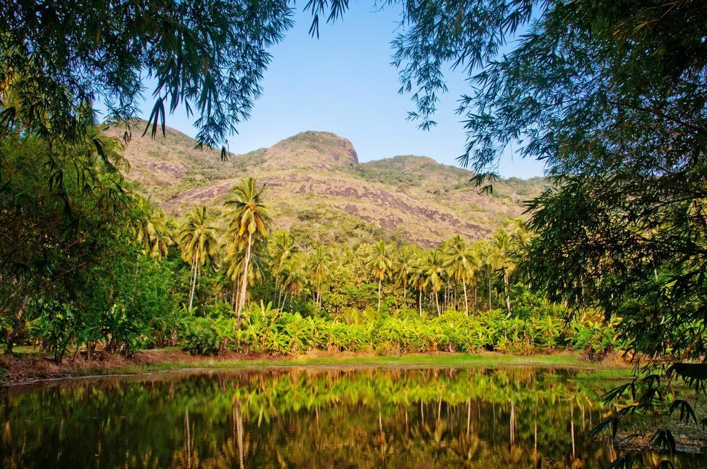 Raintree Villa Dambulla Exteriör bild