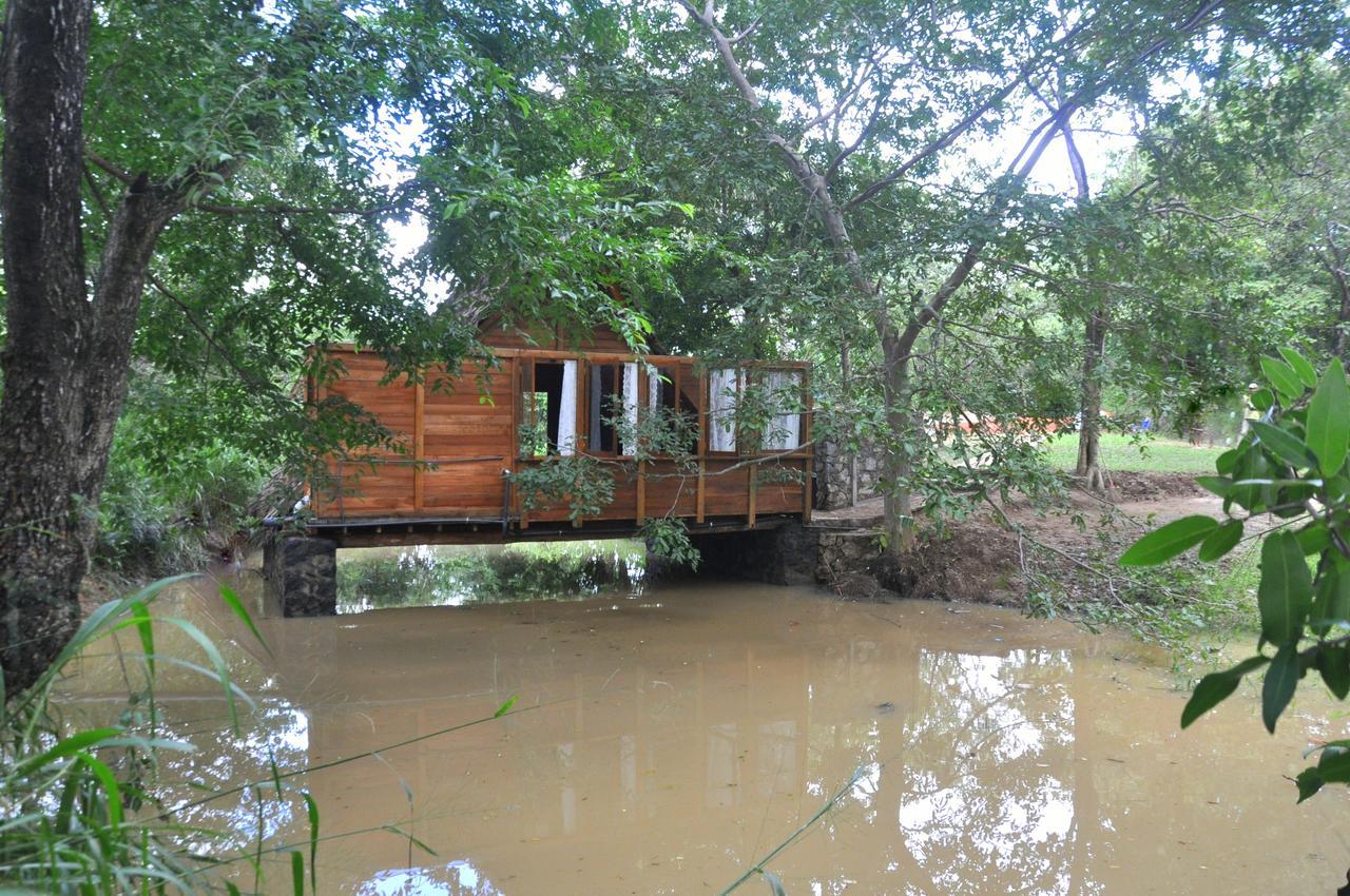 Raintree Villa Dambulla Exteriör bild