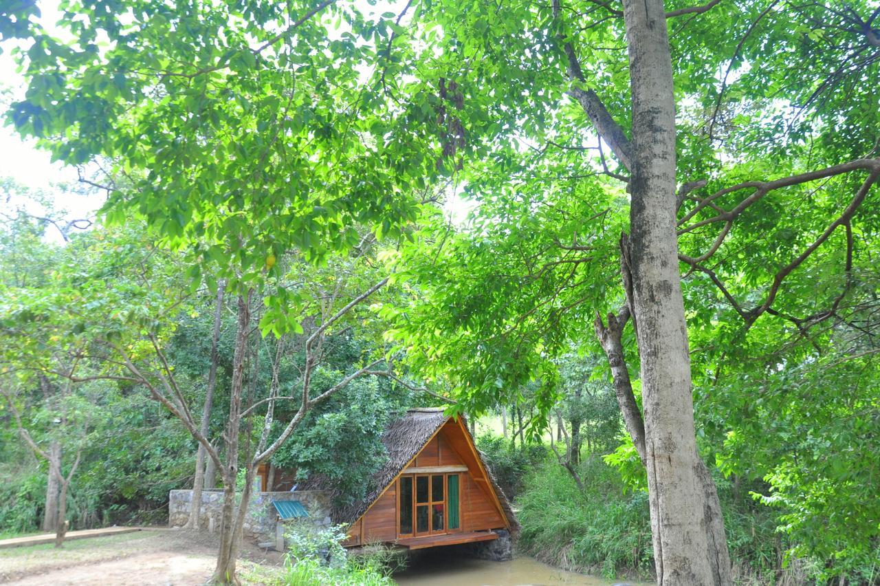 Raintree Villa Dambulla Exteriör bild