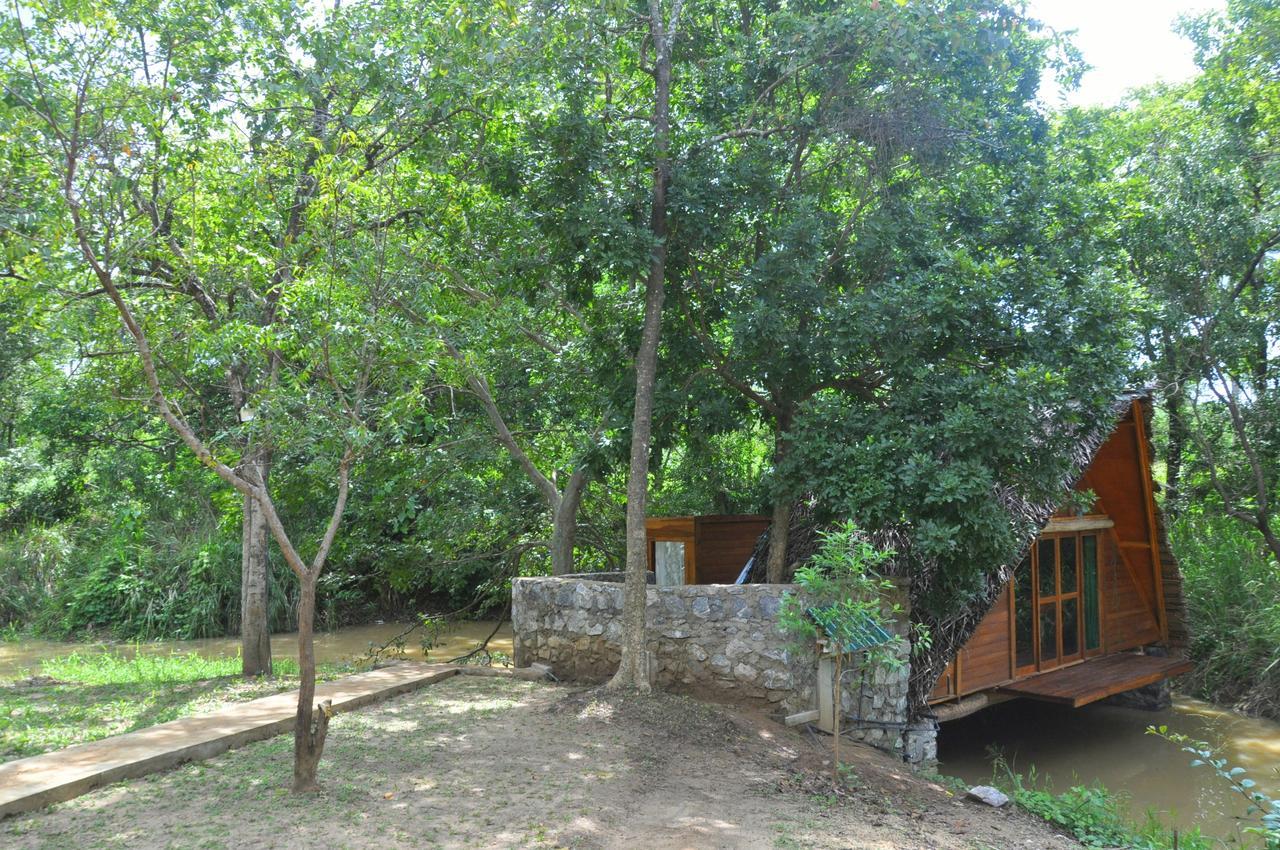 Raintree Villa Dambulla Exteriör bild