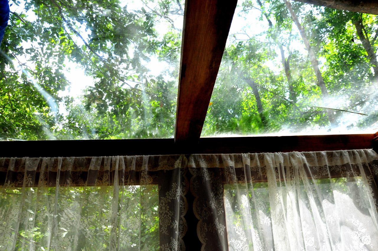 Raintree Villa Dambulla Exteriör bild