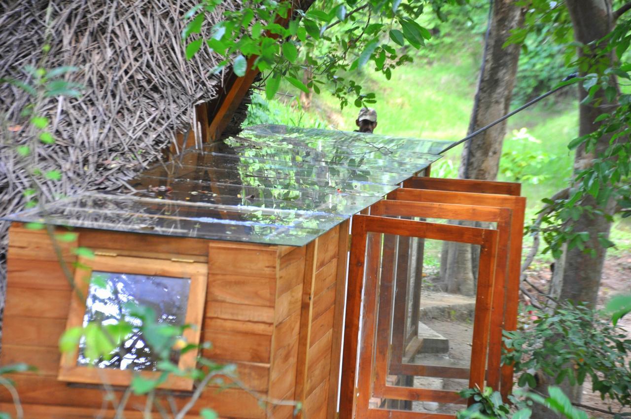 Raintree Villa Dambulla Exteriör bild