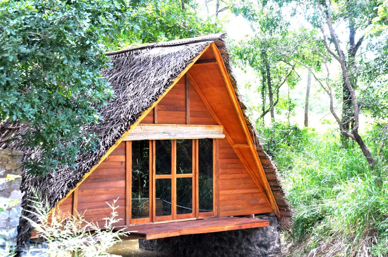 Raintree Villa Dambulla Exteriör bild