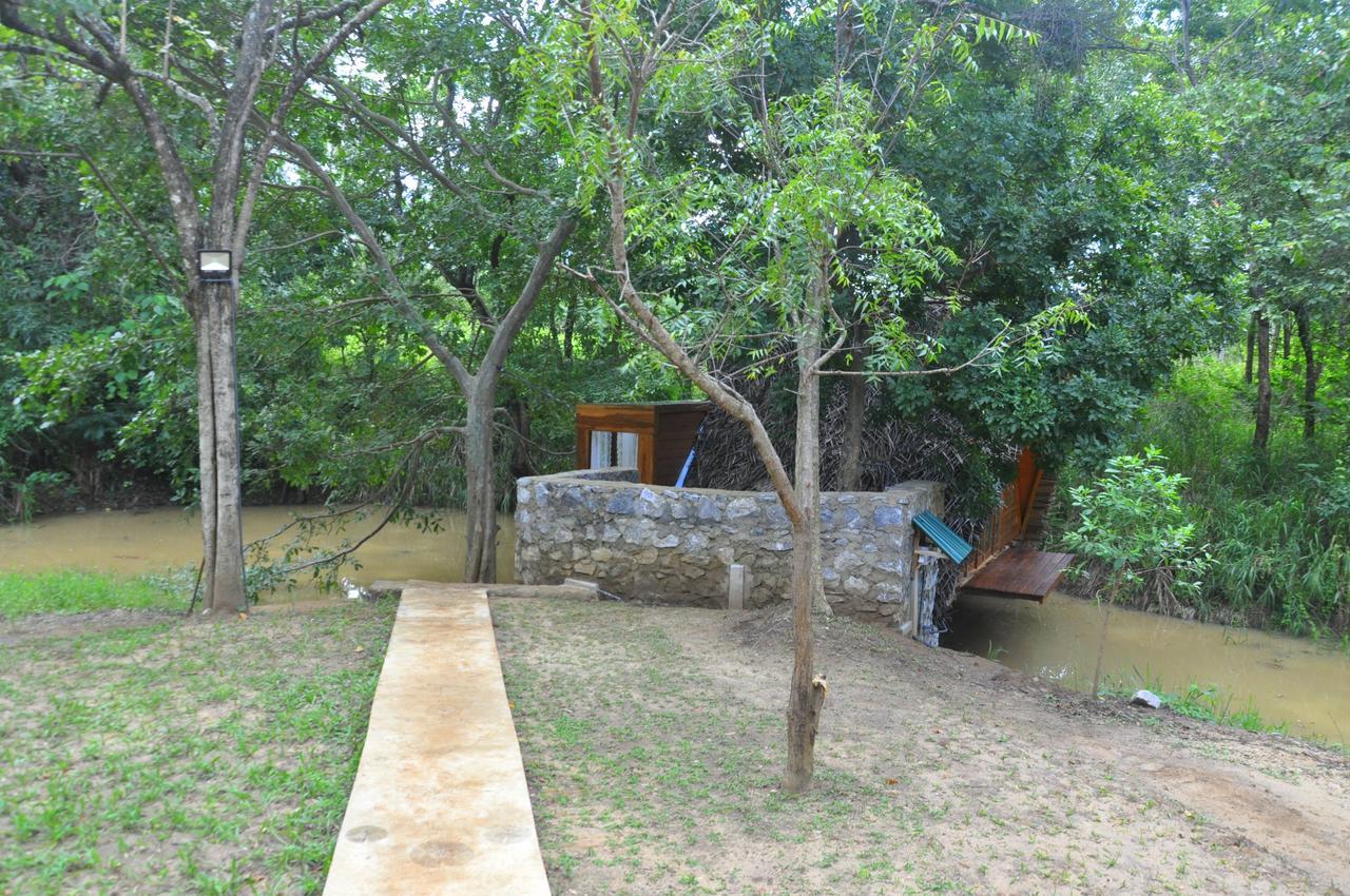 Raintree Villa Dambulla Exteriör bild