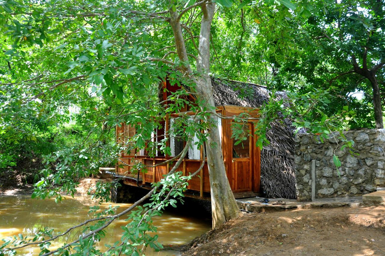 Raintree Villa Dambulla Exteriör bild