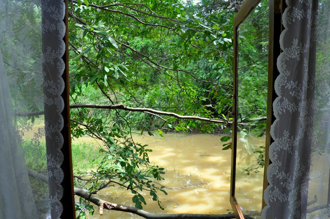 Raintree Villa Dambulla Exteriör bild