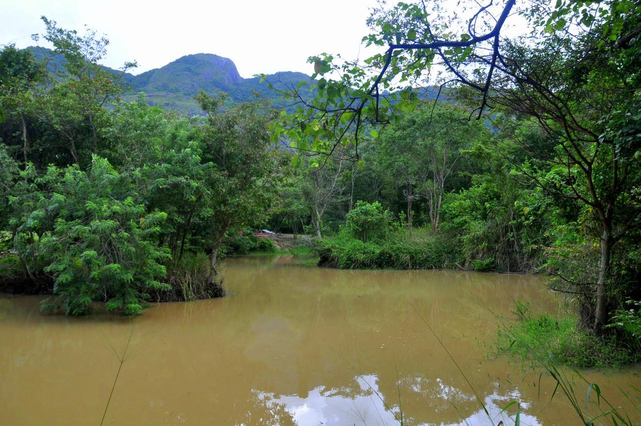 Raintree Villa Dambulla Exteriör bild