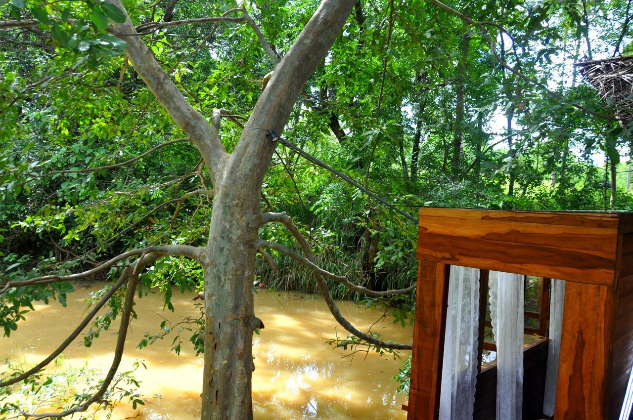 Raintree Villa Dambulla Exteriör bild