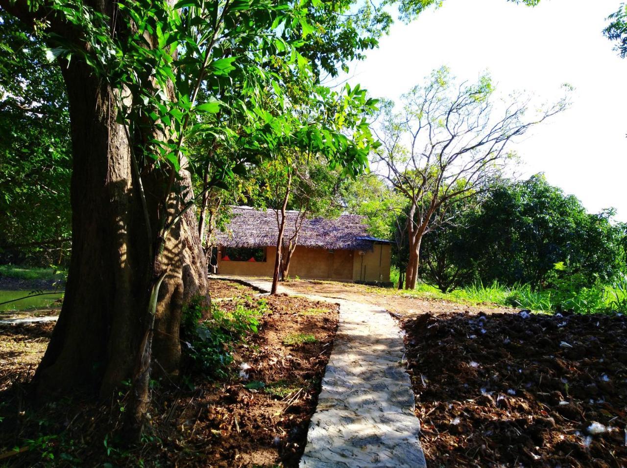 Raintree Villa Dambulla Exteriör bild
