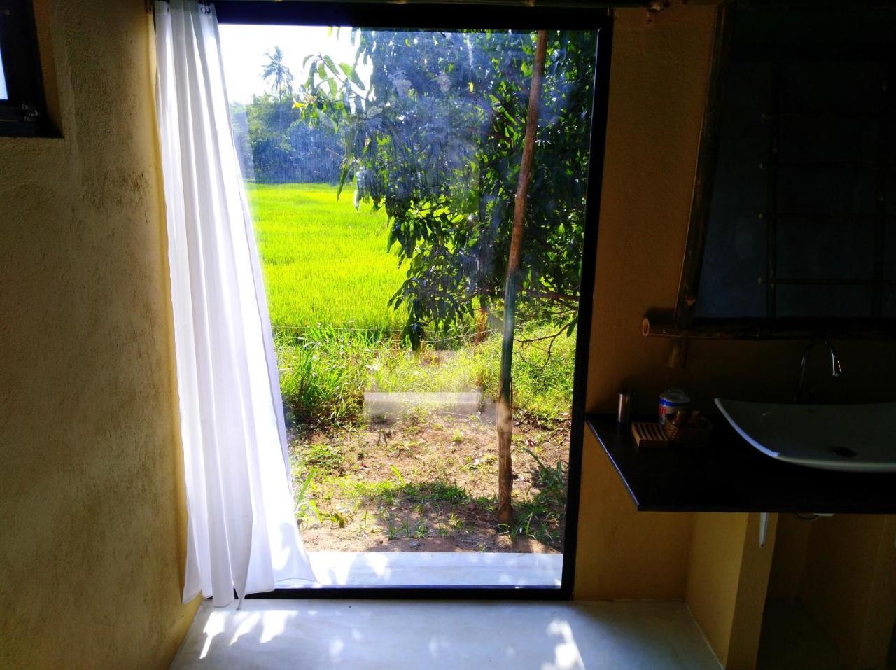 Raintree Villa Dambulla Exteriör bild