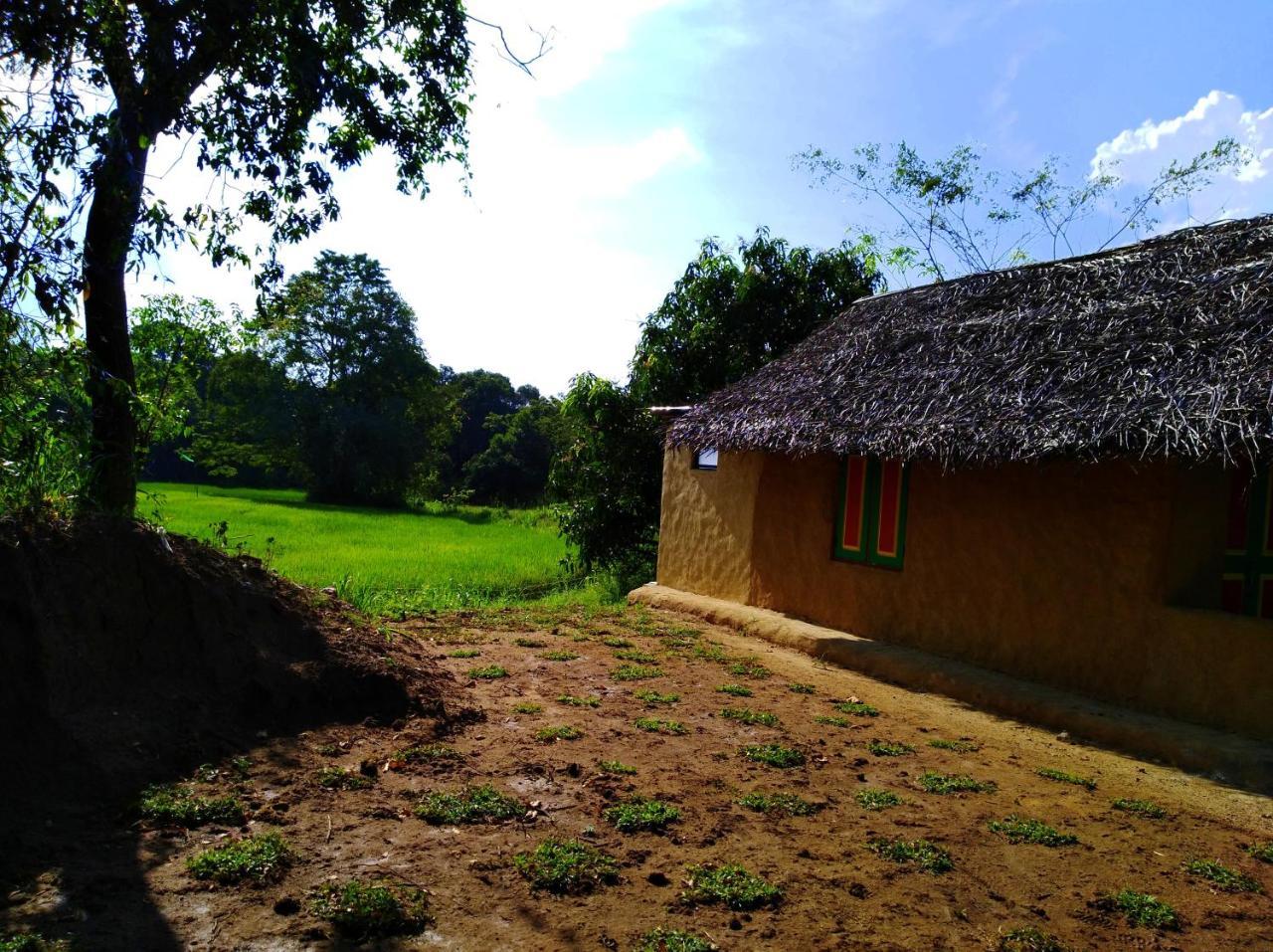 Raintree Villa Dambulla Exteriör bild
