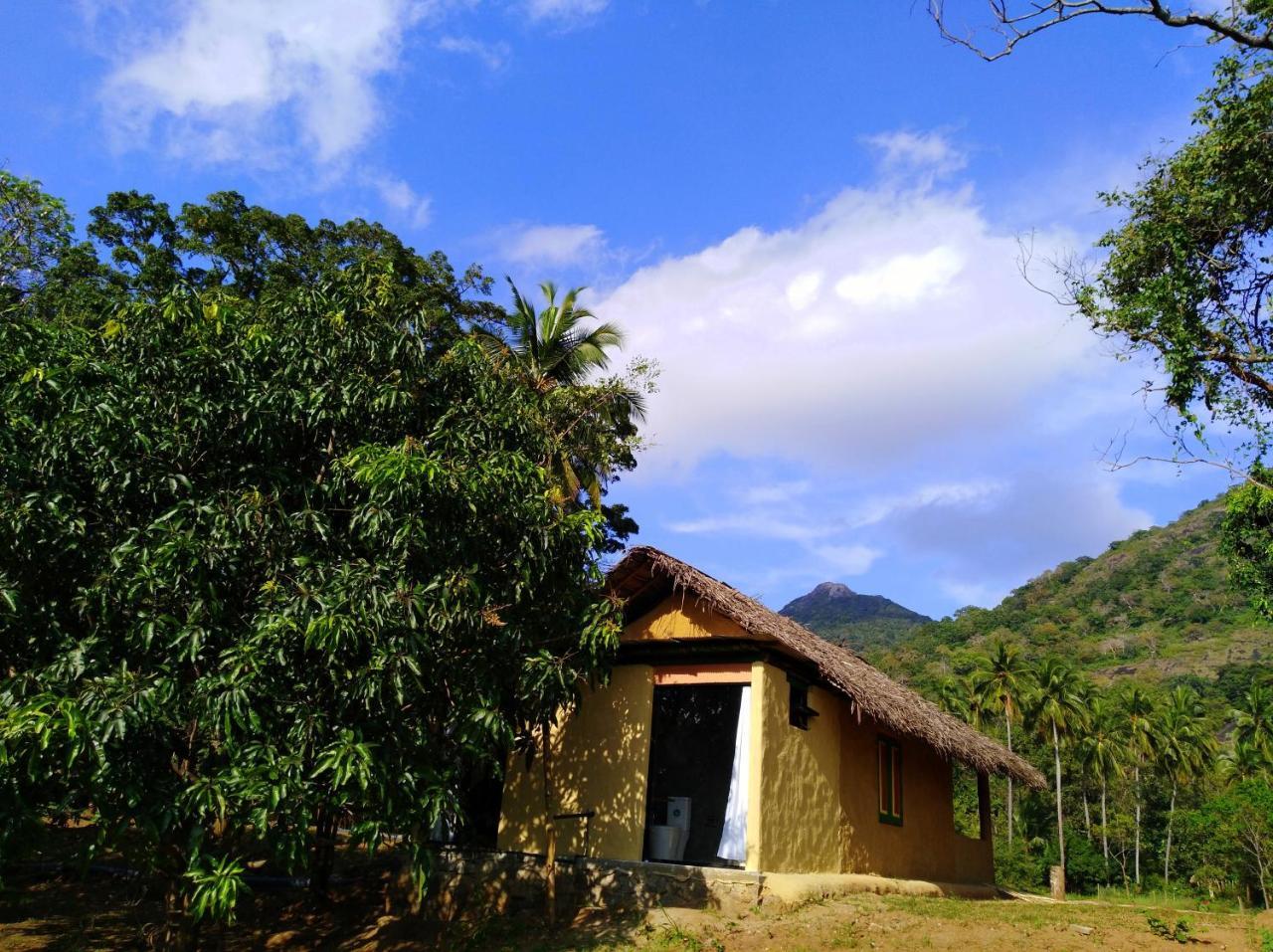 Raintree Villa Dambulla Exteriör bild