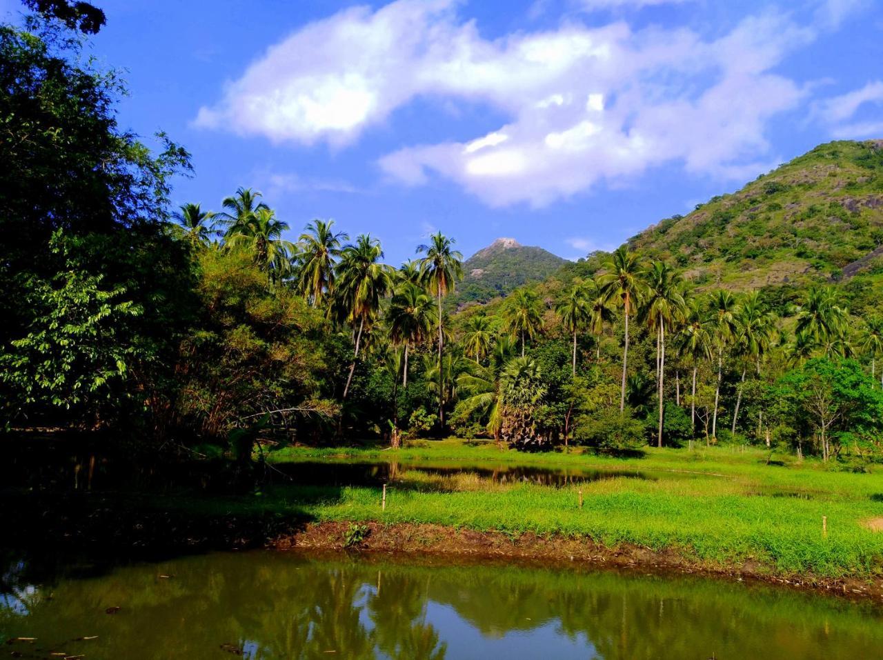 Raintree Villa Dambulla Exteriör bild