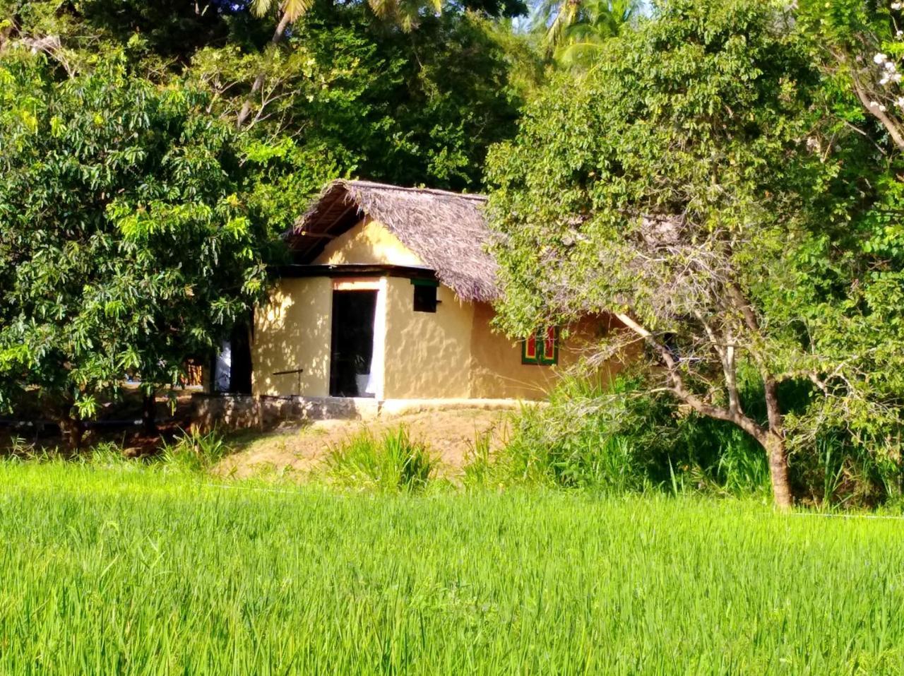 Raintree Villa Dambulla Exteriör bild