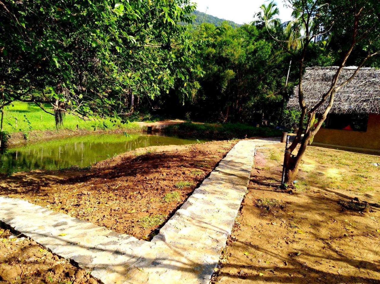 Raintree Villa Dambulla Exteriör bild